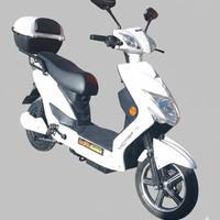 bici elettrico
