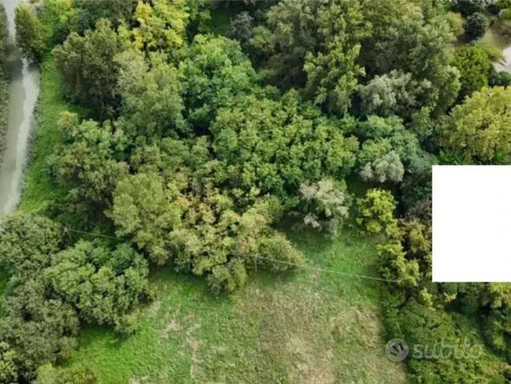Immobile in asta di 49520 m² a Mantova - Altro