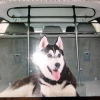 Barre trasporto cani auto