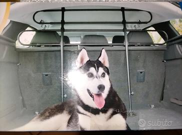 Barre trasporto cani auto