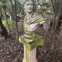 Busto Classico Apollo con Colonna Ionica