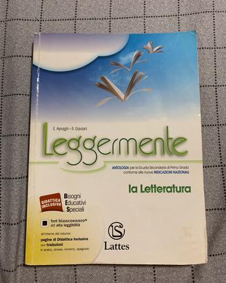 Leggermente - La letteratura