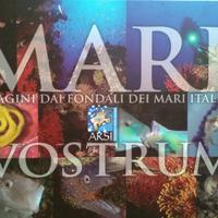 Mare Vostrum - Immagini dai fondali dei mari