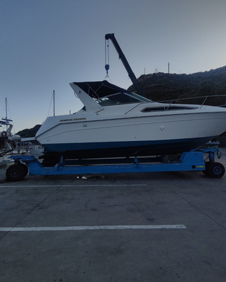 Sea Ray 270