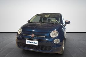 FIAT 500 1.0 hybrid Cult 70cv