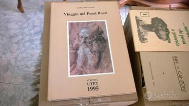 Viaggio nei Paesi Bassi