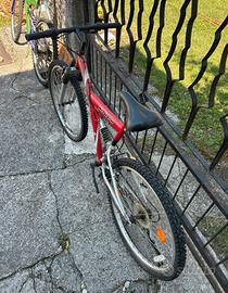 Bicicletta
