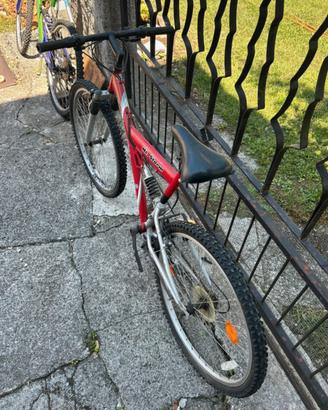 Bicicletta