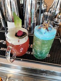 Barman/barlady/barmanager