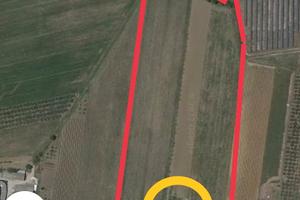 Terreno + annesso volumetria 130mq