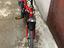 Immagine 1