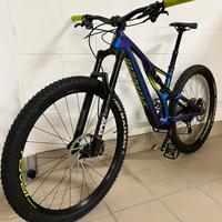 Specialized Stumpjumper evo comp carbon