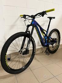 Specialized Stumpjumper evo comp carbon