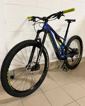 Specialized Stumpjumper evo comp carbon