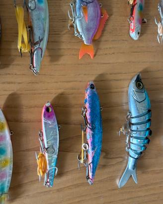 Artificiali pesca a spinning