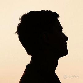 Carrellista (Muletto)