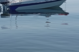 Barchetta siretcraft molto divertente