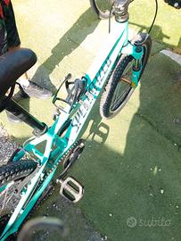 bicicletta MTB
