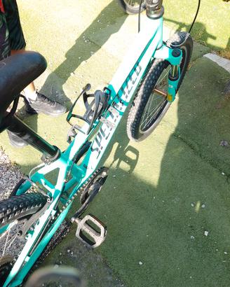 bicicletta MTB