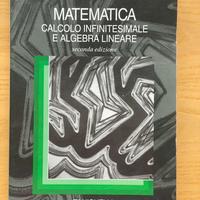 Matematica calcolo infinitesimale -Bramanti