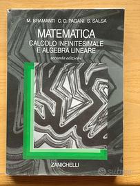 Matematica calcolo infinitesimale -Bramanti