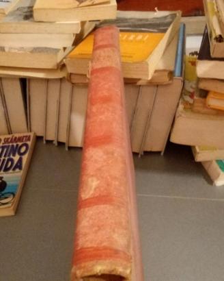 Conferenze dantesche popolari vago