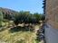 Immagine 16