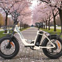 Bicicletta elettrica Uomo Donna - TRK Venere 48V