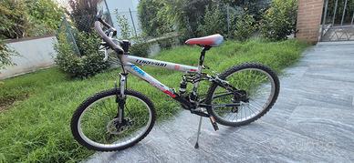 bici ragazzo cerchi 24