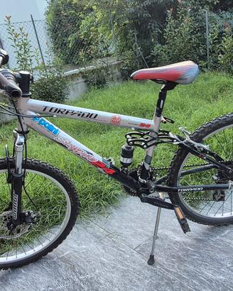 bici ragazzo cerchi 24