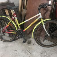 Biciletta mountain bike