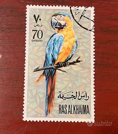 Francobollo Ras pappagallo Ara