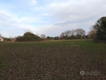 Terreno Agricolo