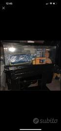 Acquario 120 Litri