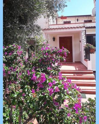 Marina di Camerota, VILLA GRAZIA 300 m mare