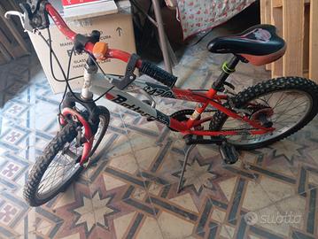 bicicletta 
