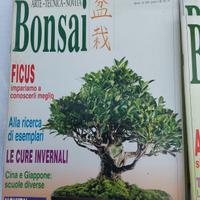 39 riviste "BONSAI ITALIANO"specializzate 91/98 