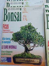 39 riviste "BONSAI ITALIANO"specializzate 91/98 