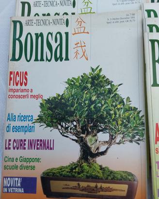 39 riviste "BONSAI ITALIANO"specializzate 91/98 