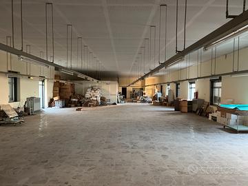 FALL 1/2023 Trib Patti - LOTTO 2