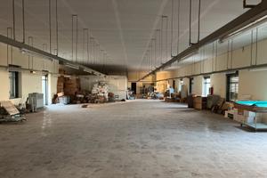 FALL 1/2023 Trib Patti - LOTTO 2