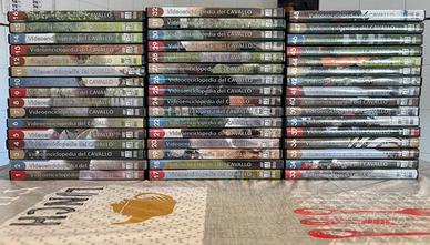 Videoenciclopedia del cavallo - Roma - TRATTABILE