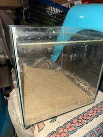 Acquario betta 15,6L
