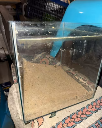Acquario betta 15,6L