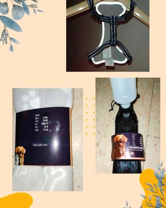 3 articoli per il tuo amico a 4 zampe 