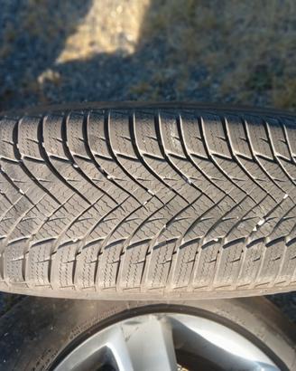 Gomme+cerchio