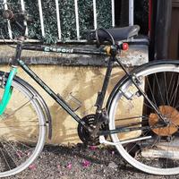 Bici da uomo