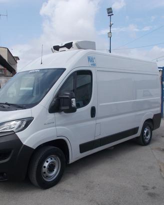 Iveco fiat ducato anno 2021 frigo L2H2 e.6