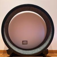 Ruota da corsa per gatti\felini