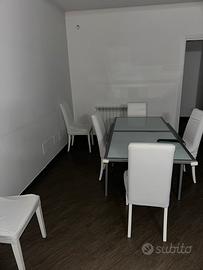 Tavolo 12 posti e 6 sedie in legno